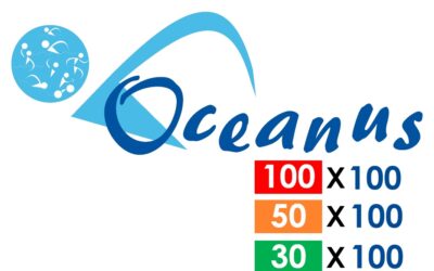 100×100 Baanindeling & Starttijden